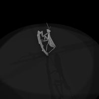 praying-mantis-miniature-diorama-accent-431483 — thumbnail 7