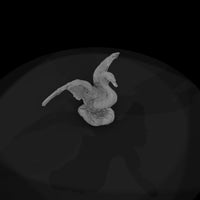 ant-121-mute-swan-male — thumbnail 6