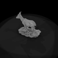 ant-278-alpine-ibex-female — thumbnail 6