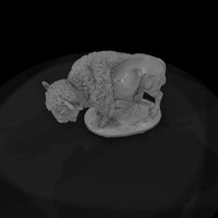 ww-0314-animal-american-bison — thumbnail 6