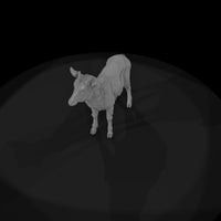 ant-249-waterbuck-adolescent — thumbnail 6