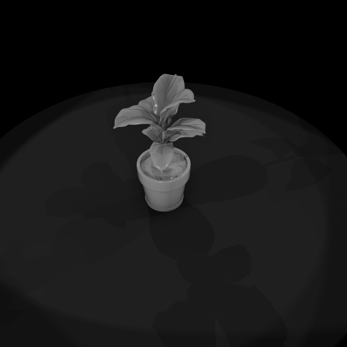 Stylized Monochrome Potted Fiddle Leaf Fig Socjkaw