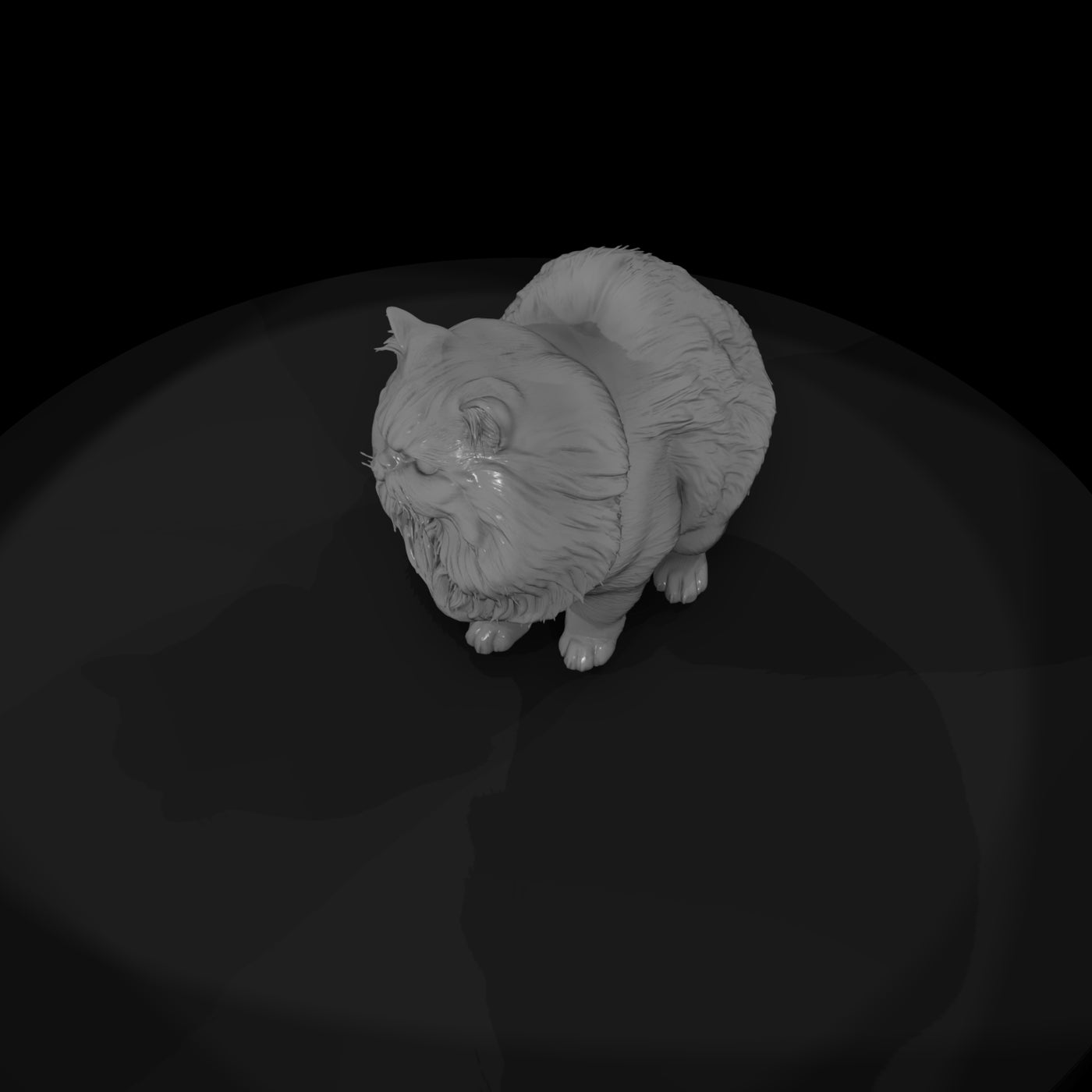 a-collection-of-housecats-persian-d66555ba-meshref