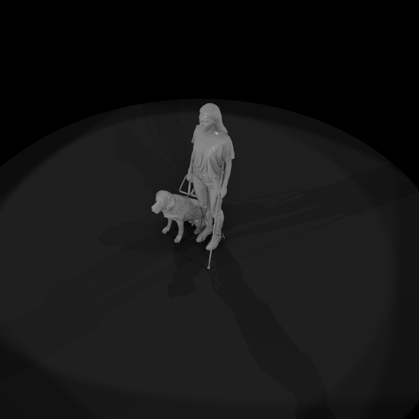 0236-access-blind-guide-dog