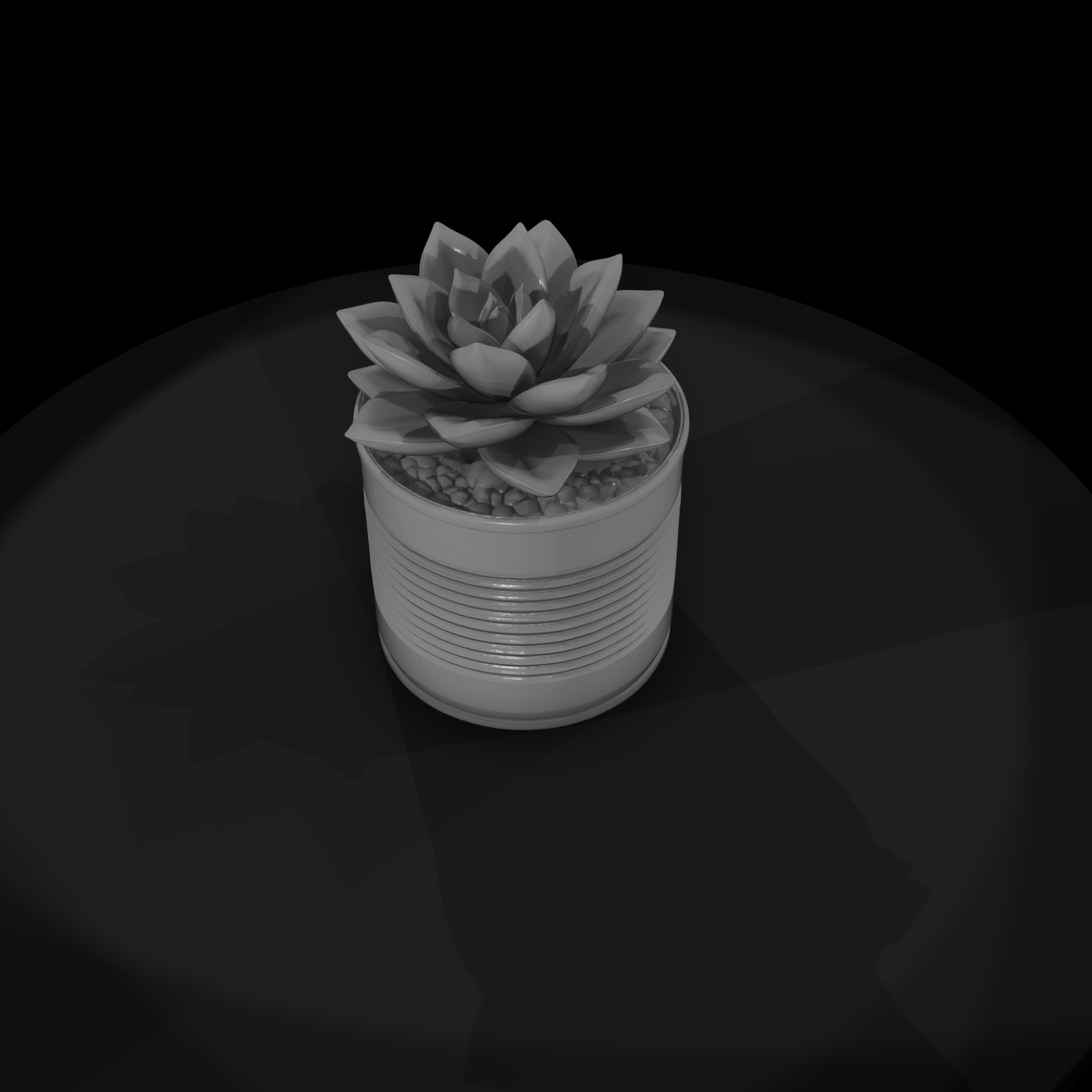 Stylized Monochrome Succulent Tin Can Planter 3D M