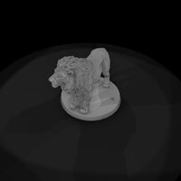 ant-001-lion-male — thumbnail 6