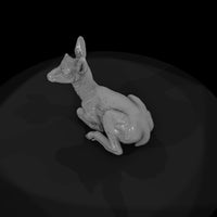 ant-054-pronghorn-adolescent — thumbnail 6