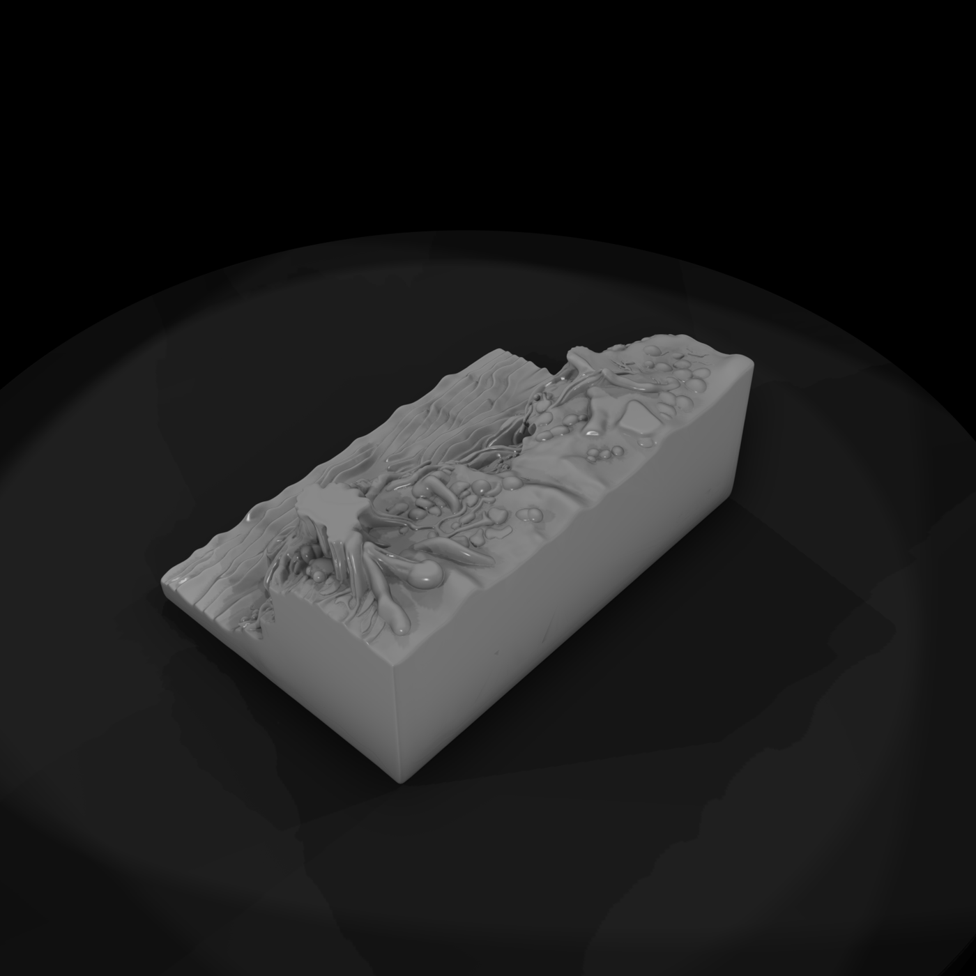 Sculpted Exposed Tree Root Riverbank Terrain 3D Mo