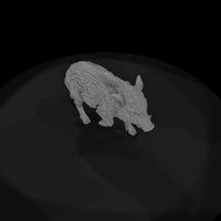 ant-075-wild-boar-adolescent — thumbnail 6