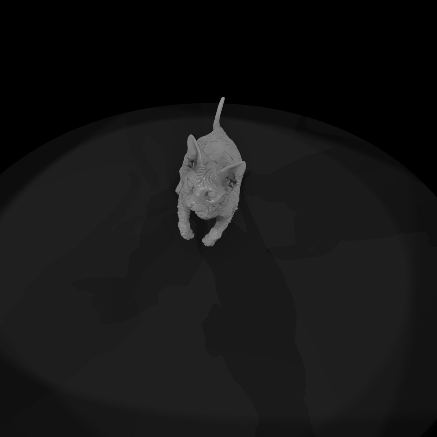 a-collection-of-housecats-cornish-1f45c53c-meshref
