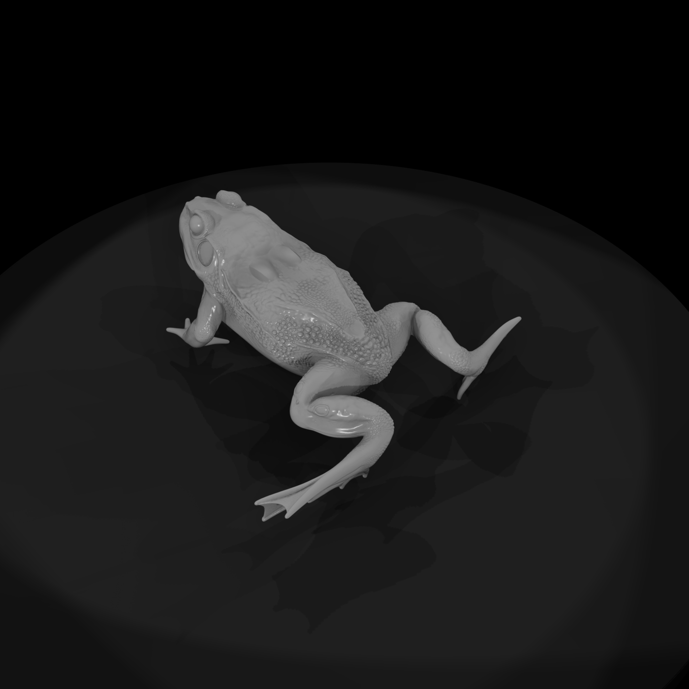 Winged Fantasy Frog