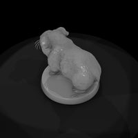 anim-27-guinea-pig-4a4412 — thumbnail 6