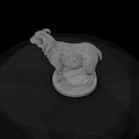 anim-20-sheep-666c93 — thumbnail 6