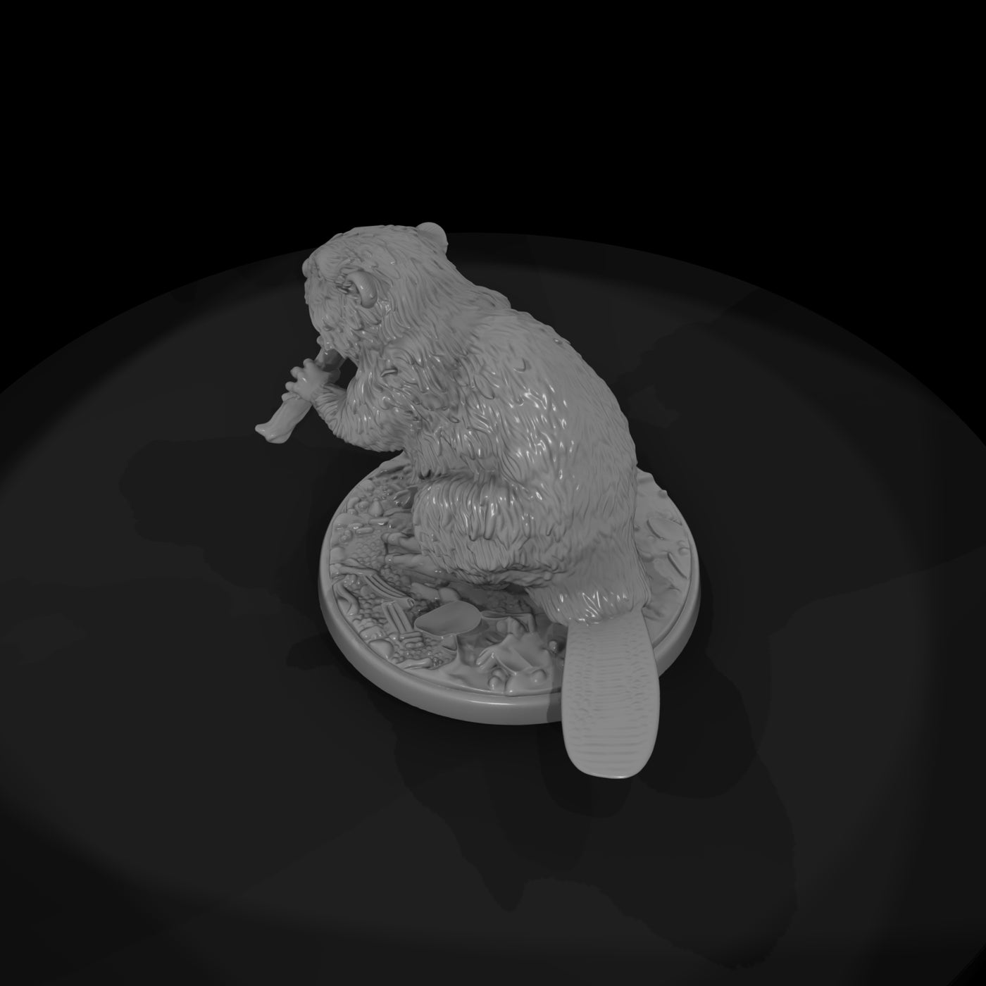 ant-187-beaver-male