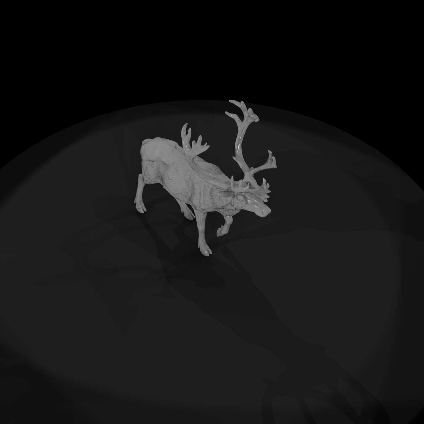 Ant 061 Caribou Male