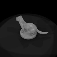 anim-28-ferret-5c2cc8 — thumbnail 6