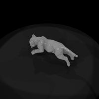 ant-153-jaguar-adolescent — thumbnail 6