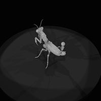 nightmare-clockwork-creatures-the-mechanical-manti — thumbnail 6