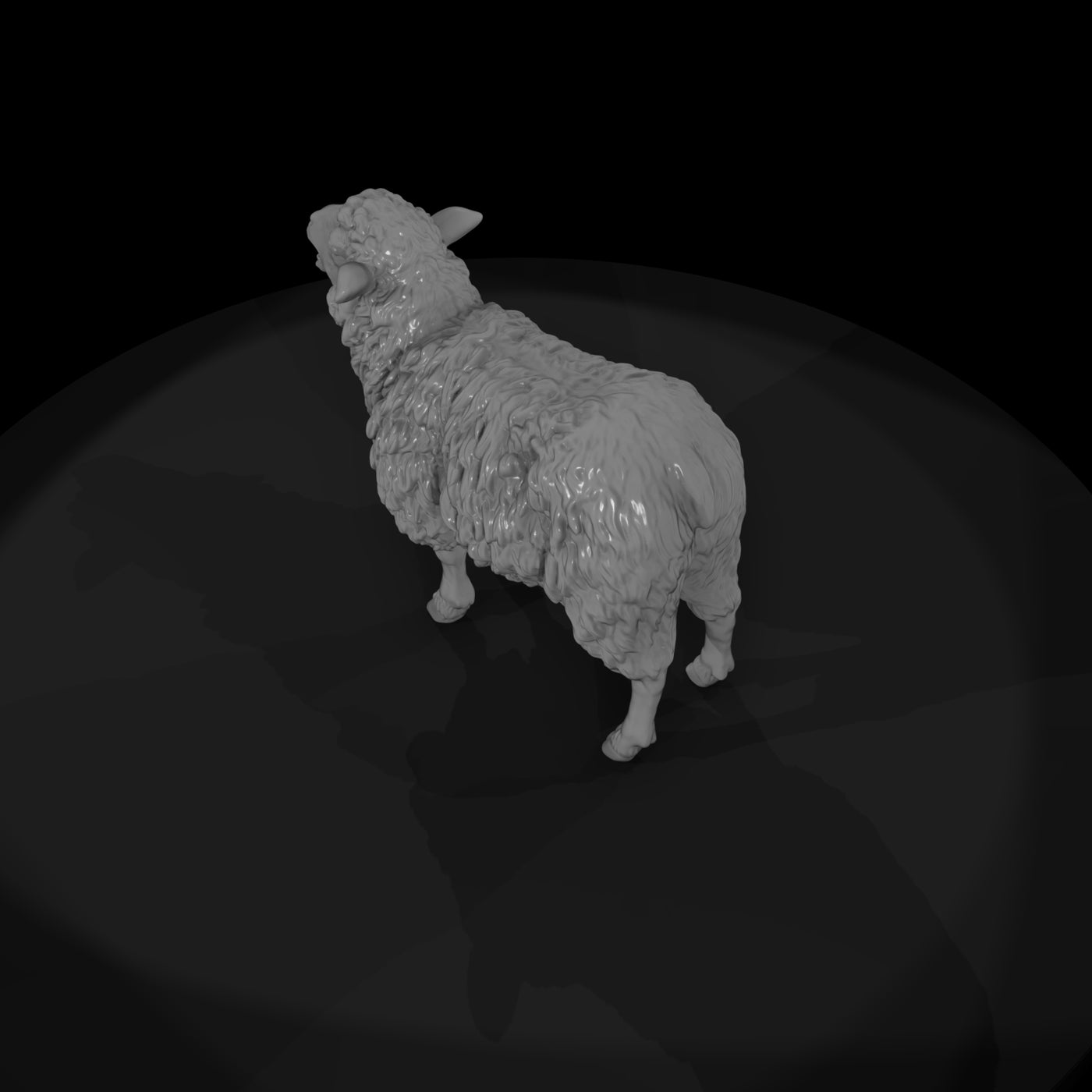 ww-0304-animal-ewe