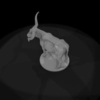 ww-0294-animal-texas-longhorn-steer — thumbnail 6