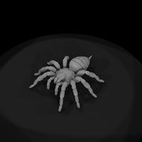 ww-0339-animal-tarantula — thumbnail 6
