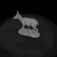 ant-053-pronghorn-female — thumbnail 6