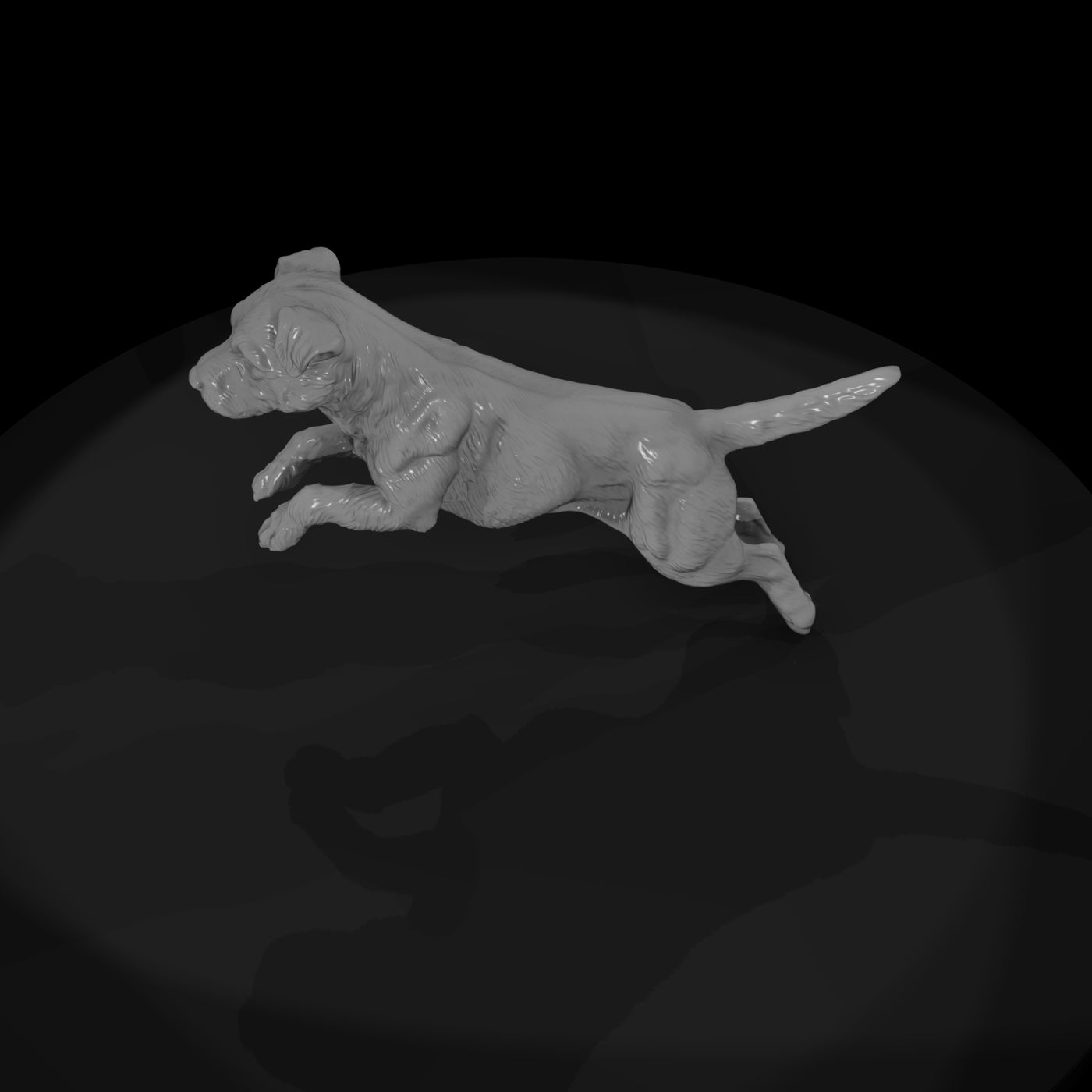 cir-125-animal-jumping-terrier