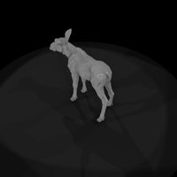 ant-048-moose-adolescent — thumbnail 6