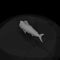 mahi-mahi-diorama-figure-823105 — thumbnail 7