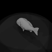 snapper-fish-miniature-for-dioramas-914452 — thumbnail 7