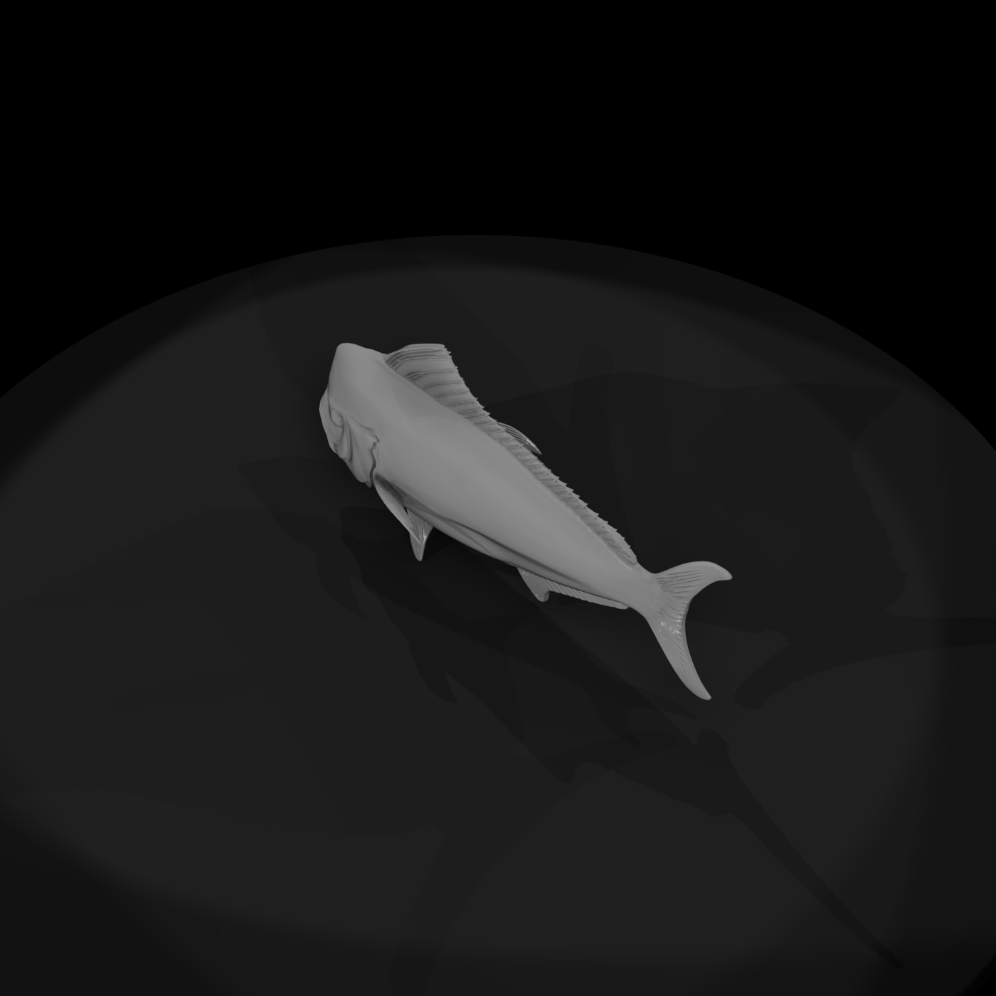 Mahi Mahi