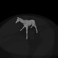 ant-027-giraffe-adolescent — thumbnail 6