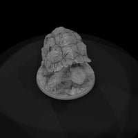 armored-rock-tortoise-043803 — thumbnail 7