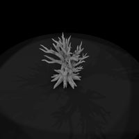 stylized-gnarled-dead-bare-tree-3d-model-mxo2xtvq-3badc7 — thumbnail 7
