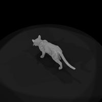ww-0308-animal-barn-cat — thumbnail 6