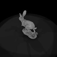 ww-0322-animal-jackrabbit — thumbnail 6