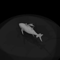 bluefin-tuna-diorama-miniature-ho-1-87-scale-590902 — thumbnail 7