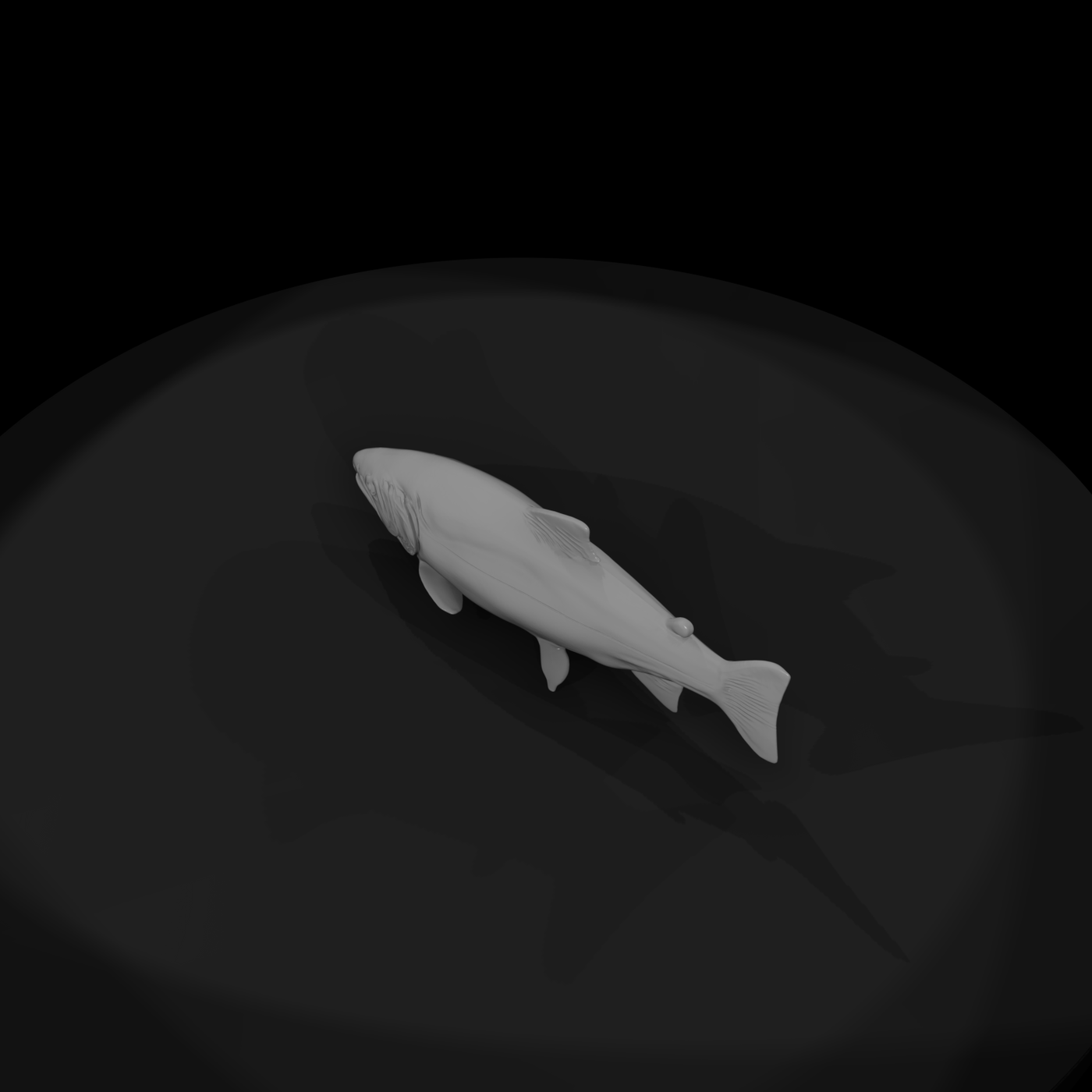 Chinook Salmon