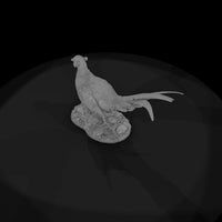 ant-097-ring-necked-pheasant-male — thumbnail 6