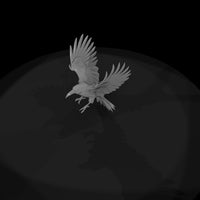 20260612-black-flying-raven-72becd3757 — thumbnail 6
