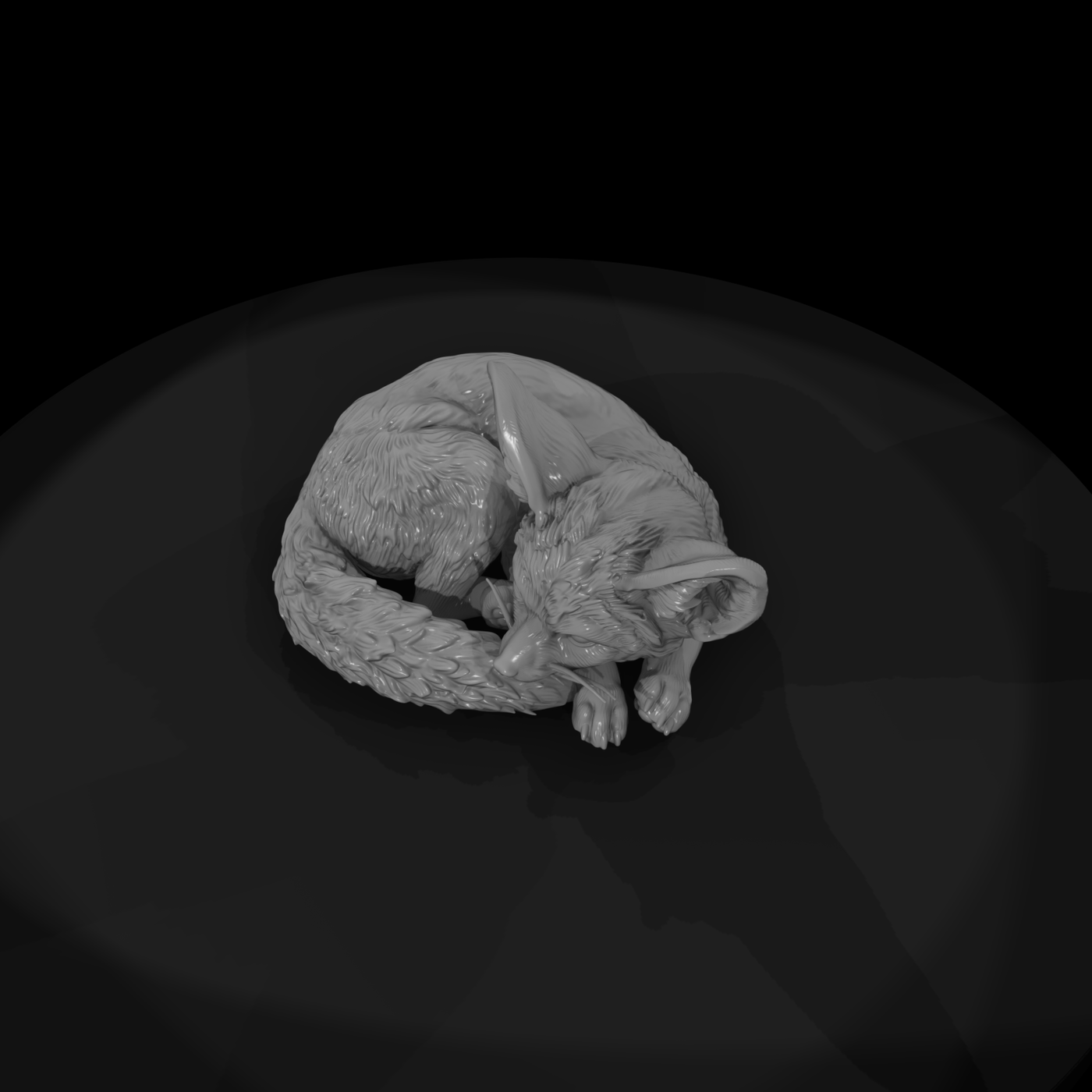 Curled-Up Fennec Fox