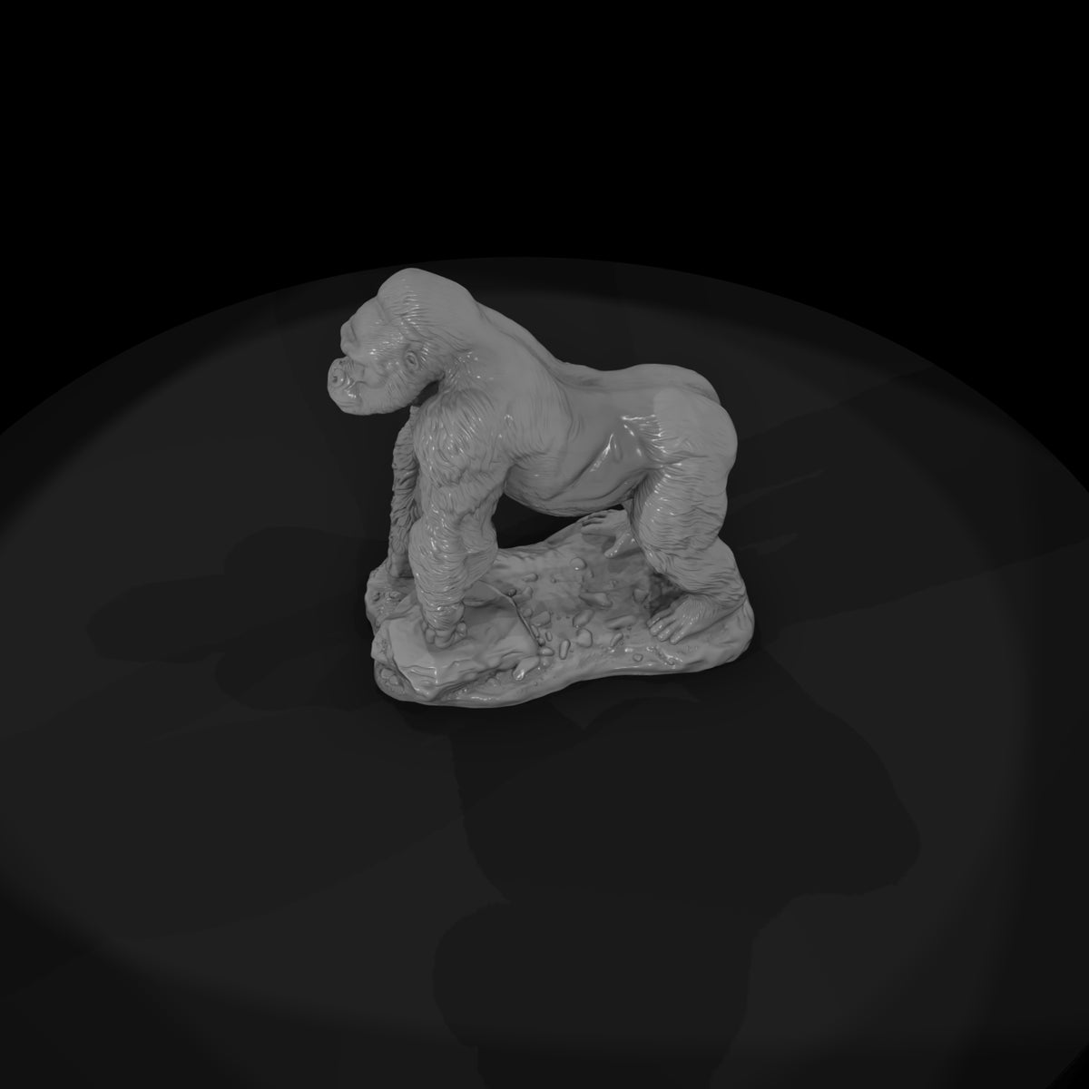 ant-037-western-gorilla-male