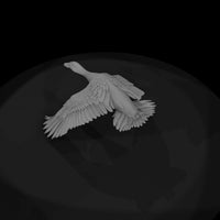 flying-duck-miniature-ho-1-87-scale-979126 — thumbnail 7