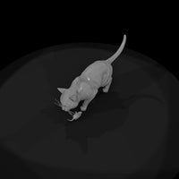 a-collection-of-housecats-bengal-82b24b8e-meshref — thumbnail 6