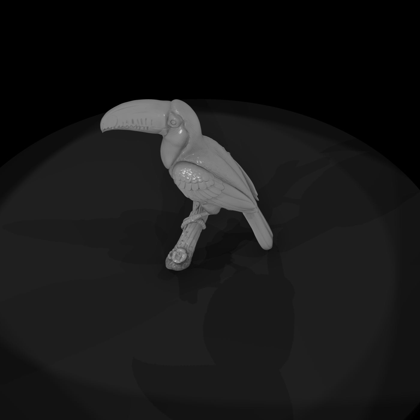 ant-286-toco-toucan-male