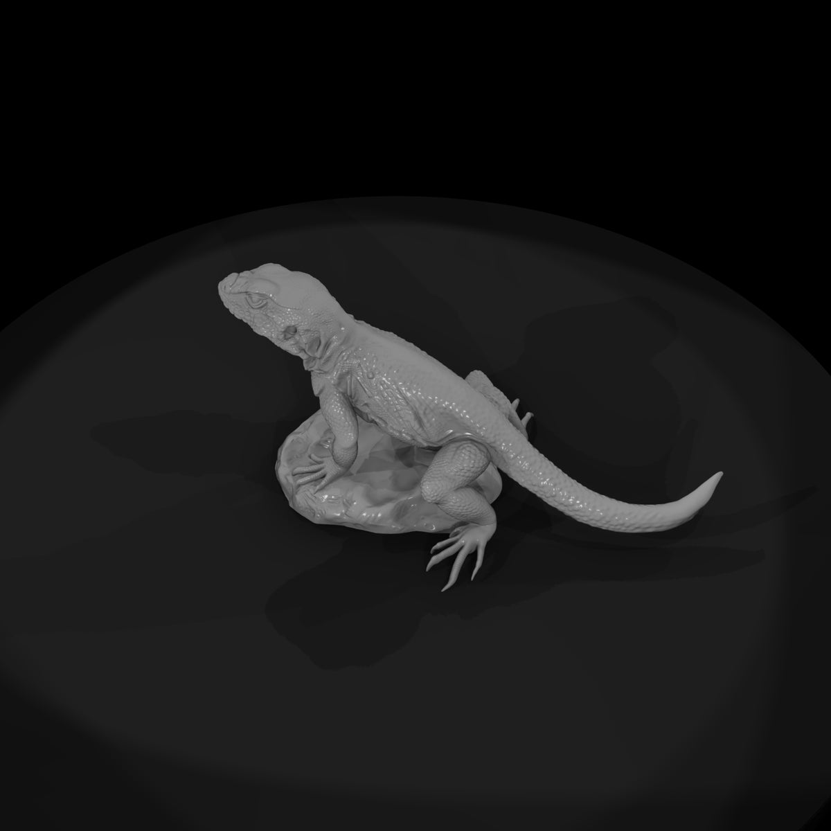 ww-0338-animal-collared-lizard