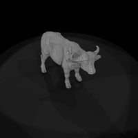 ant-225-cape-buffalo-adolescent — thumbnail 6