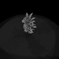 deadly-plants-screaming-heliconia — thumbnail 8