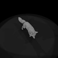 ant-016-red-fox-male — thumbnail 6