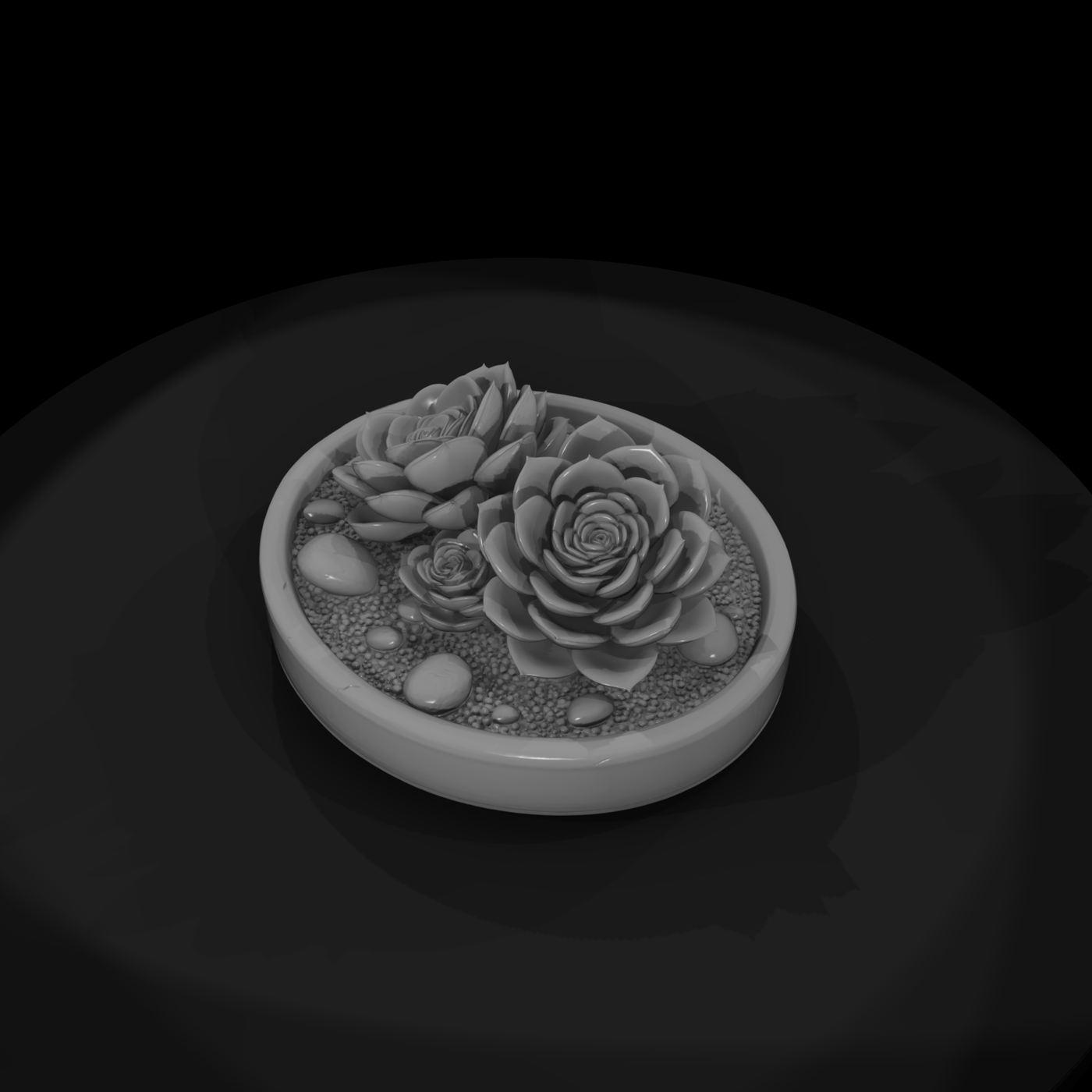 Minimalist Monochrome Succulent Zen Garden